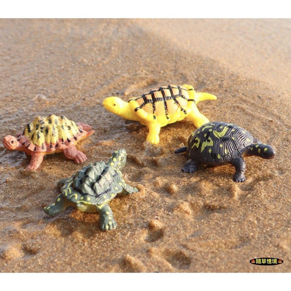 （12款）仿真 烏龜 海龜 陸龜 鱉 巴西龜 草龜 鰐龜 象龜 動物模型 野生動物 兒童玩具 益智 SPG-細節圖5