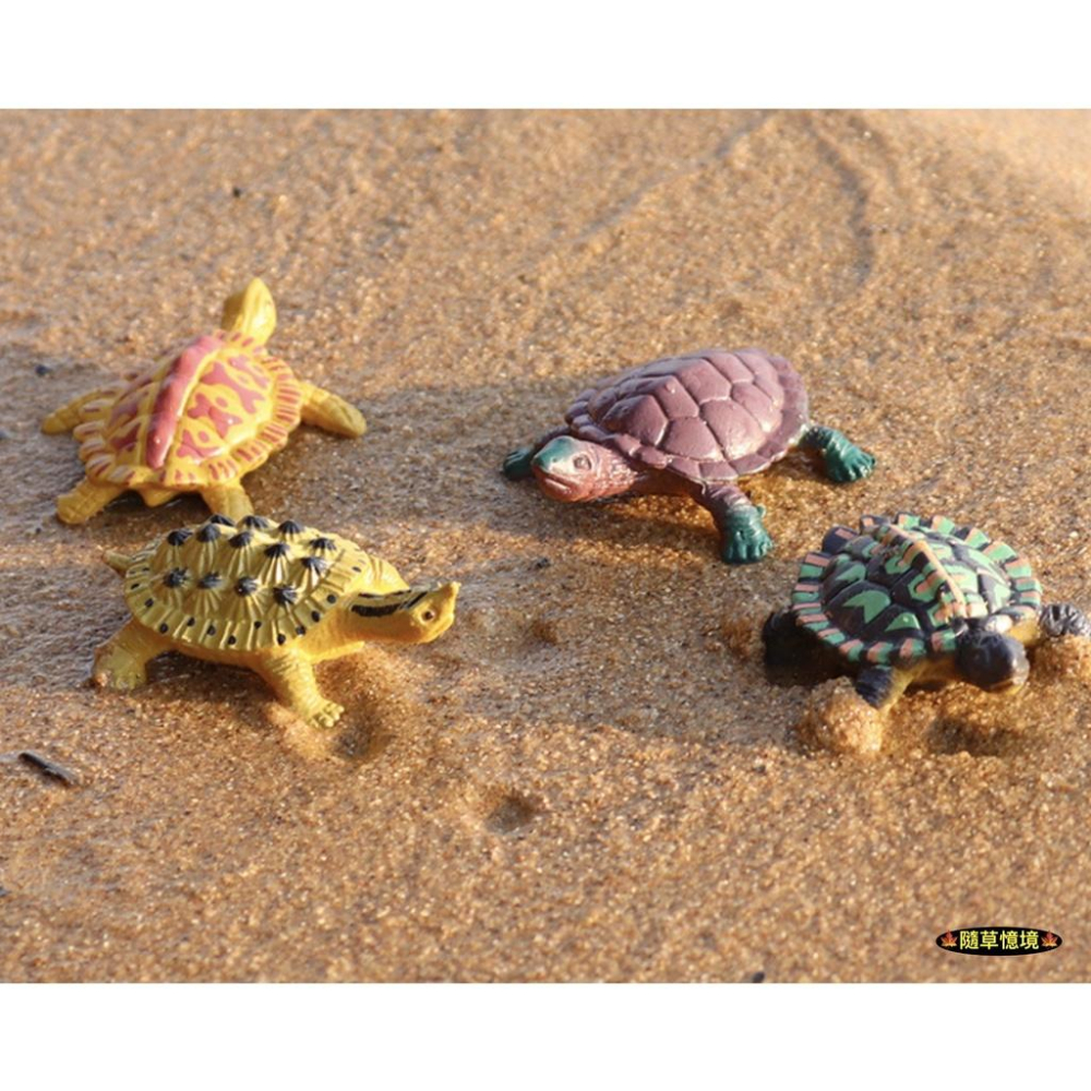 （12款）仿真 烏龜 海龜 陸龜 鱉 巴西龜 草龜 鰐龜 象龜 動物模型 野生動物 兒童玩具 益智 SPG-細節圖6