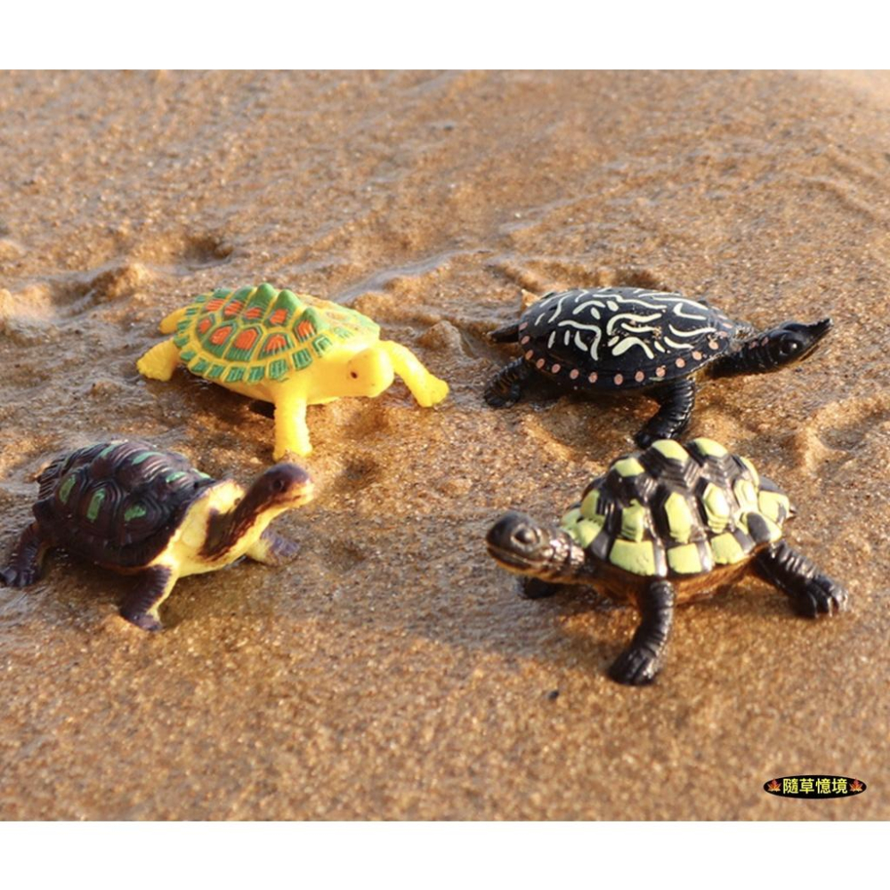（12款）仿真 烏龜 海龜 陸龜 鱉 巴西龜 草龜 鰐龜 象龜 動物模型 野生動物 兒童玩具 益智 SPG-細節圖7