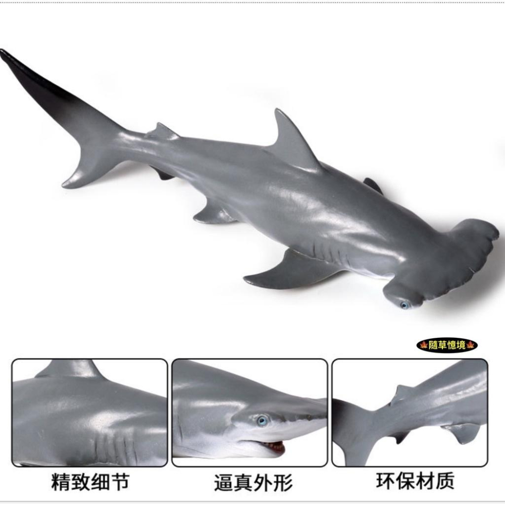 （高品質畫工）仿真 錘頭鯊 槌頭鯊 雙鬢鯊 鯊魚 海洋動物 模型 野生動物 兒童玩具 益智 公仔 SPG-細節圖2