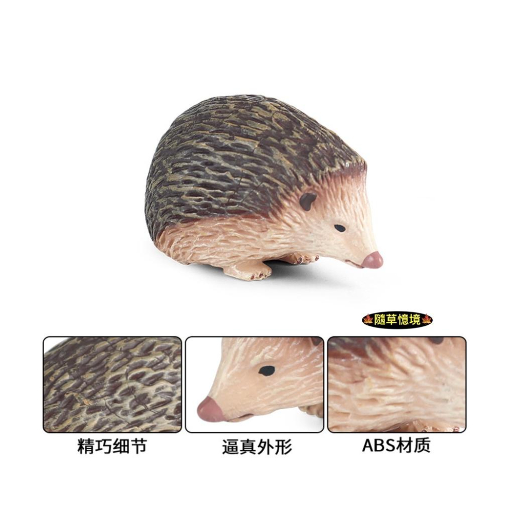 （實心超仿真）迷你仿真 刺蝟 刺猬 叢林 刺團蝟鼠 毛刺 偷瓜獾 動物模型 野生動物 兒童科教玩具益智 公仔 SPG-細節圖3