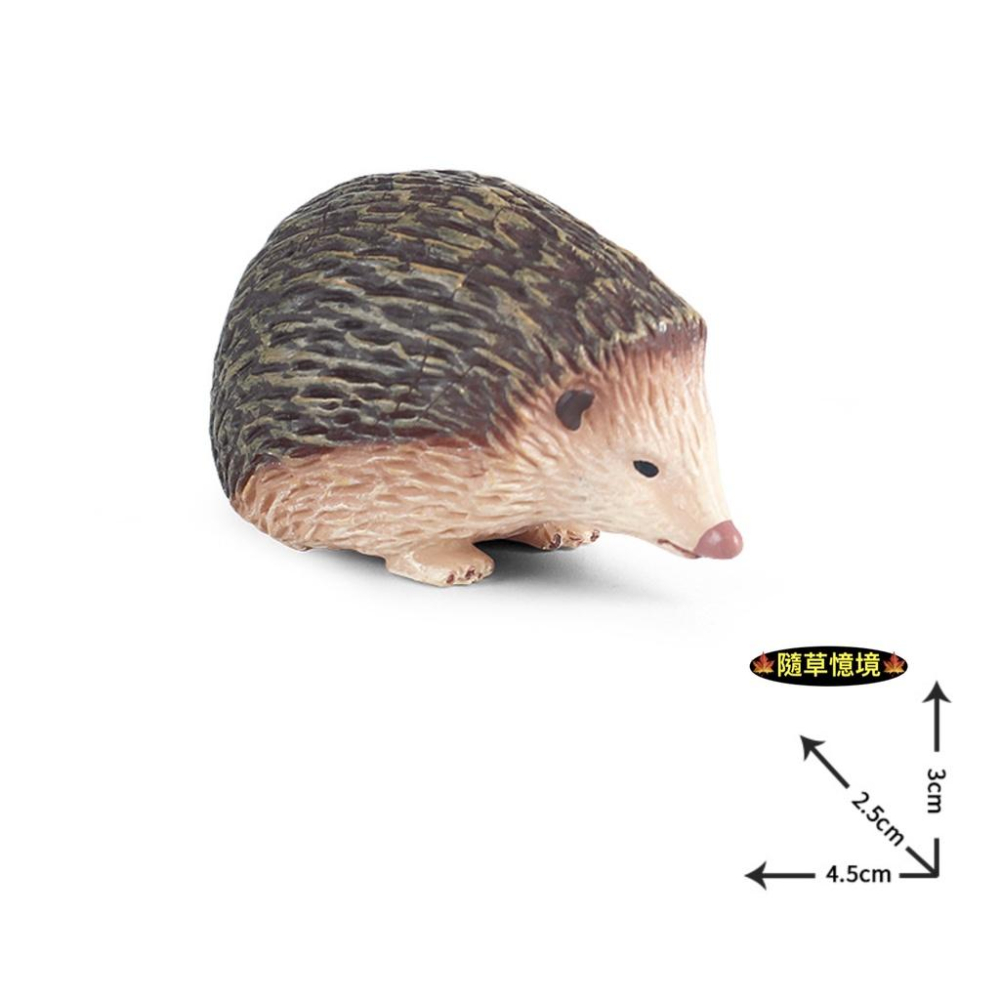 （實心超仿真）迷你仿真 刺蝟 刺猬 叢林 刺團蝟鼠 毛刺 偷瓜獾 動物模型 野生動物 兒童科教玩具益智 公仔 SPG-細節圖4