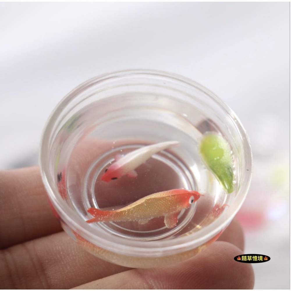 （多款）迷你仿真 錦鯉 金魚 浮葉 魚缸 熱帶魚 客廳 場景 娃娃屋 配件 袖珍 食玩 微縮場景 微景觀 模型-細節圖3