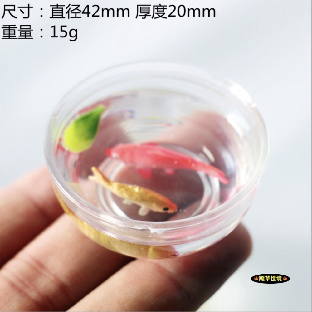 （多款）迷你仿真 錦鯉 金魚 浮葉 魚缸 熱帶魚 客廳 場景 娃娃屋 配件 袖珍 食玩 微縮場景 微景觀 模型-細節圖5