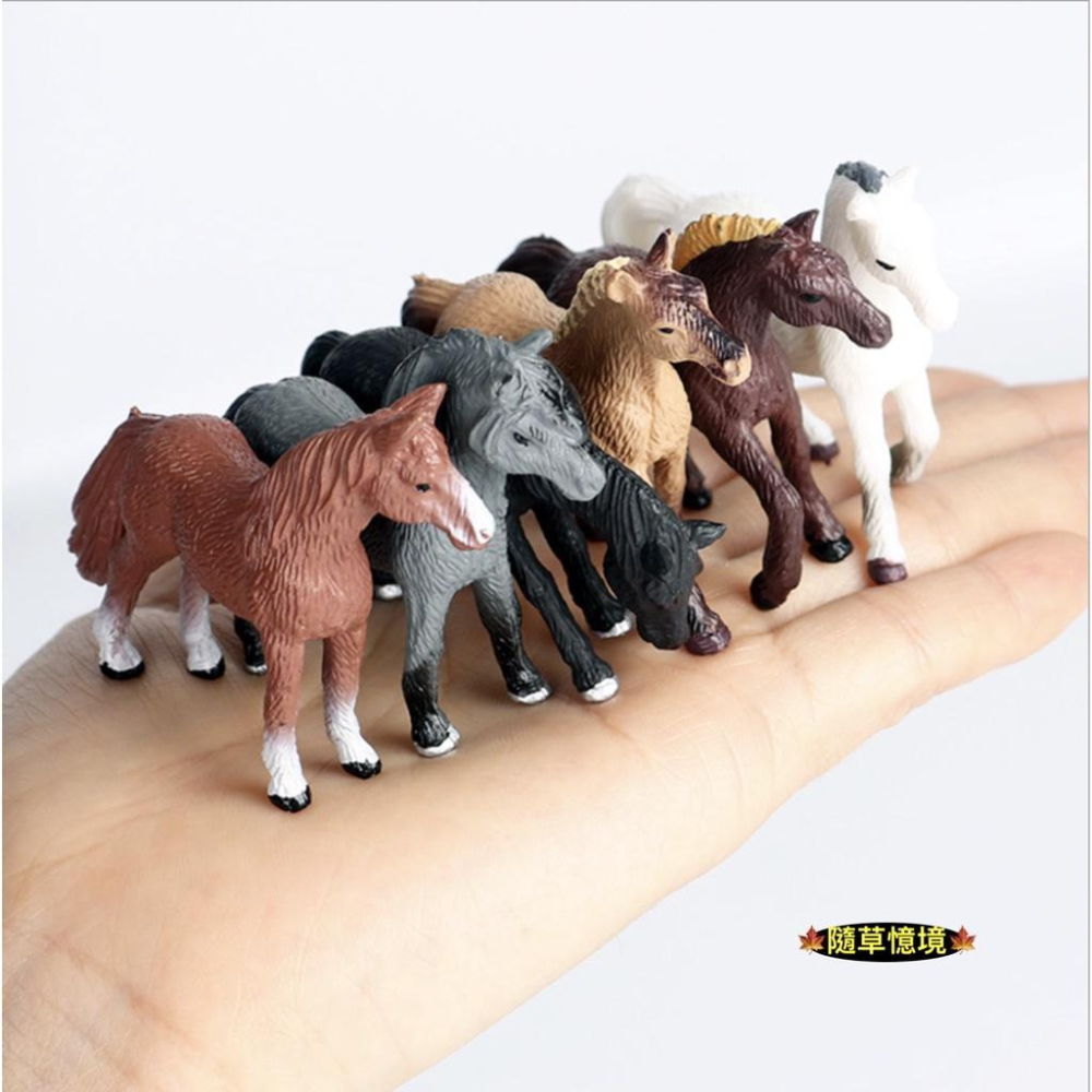 （6款）仿真 迷你 小馬 駿馬 千里馬 黑馬 白馬 賽馬 駒 馬 模型 野生動物 兒童玩具 spg-細節圖3