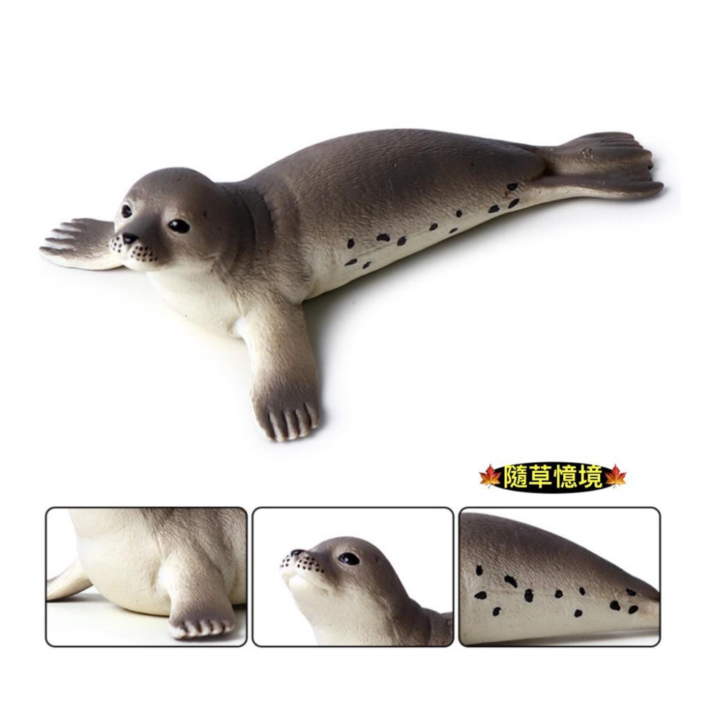 （高品質畫工）仿真 海豹 海底生物 海洋動物 早教 認知 動物模型 野生動物 兒童玩具 益智 公仔 SPG-細節圖2