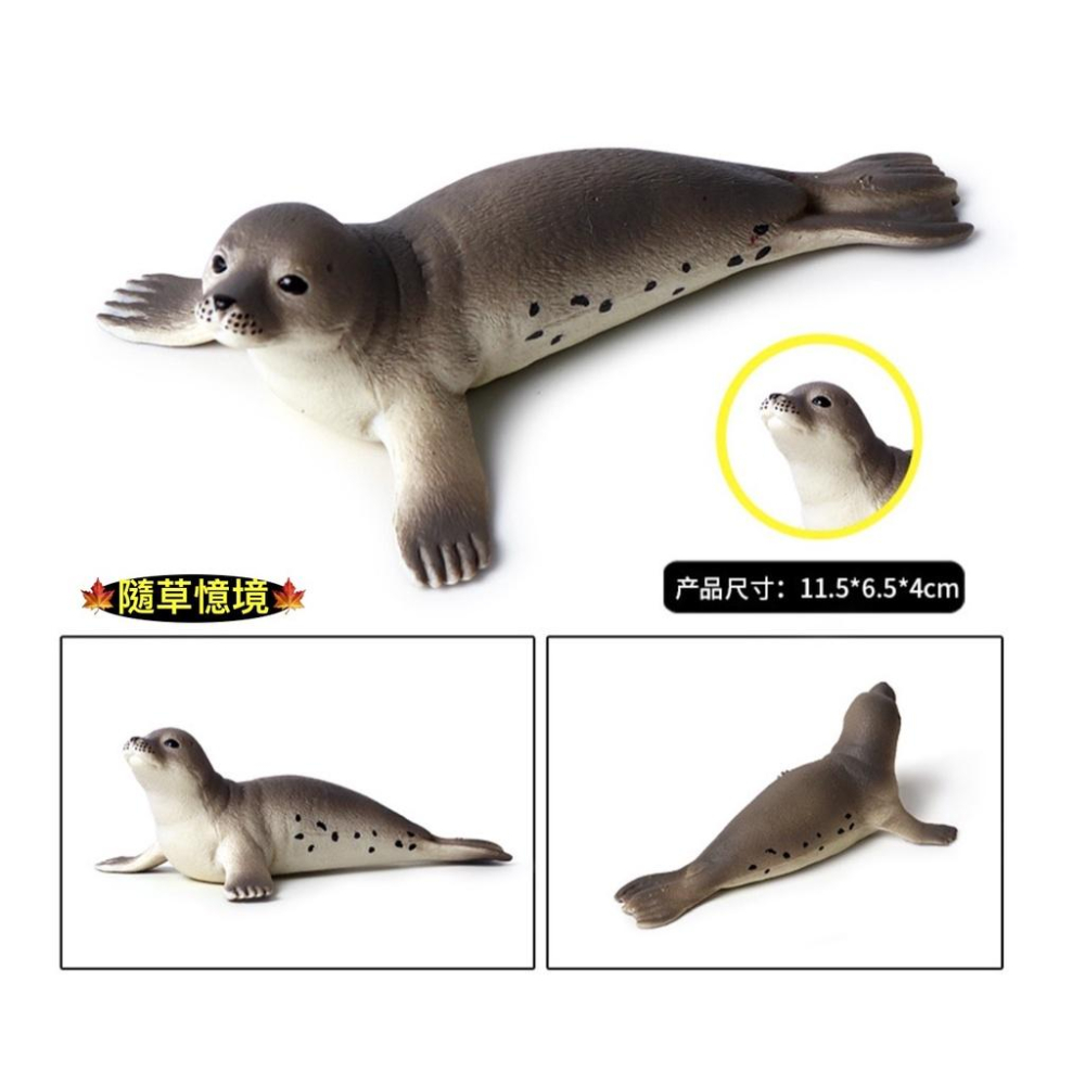 （高品質畫工）仿真 海豹 海底生物 海洋動物 早教 認知 動物模型 野生動物 兒童玩具 益智 公仔 SPG-細節圖3