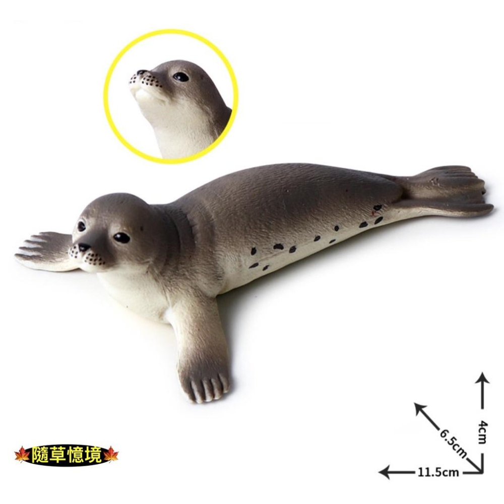 （高品質畫工）仿真 海豹 海底生物 海洋動物 早教 認知 動物模型 野生動物 兒童玩具 益智 公仔 SPG-細節圖4