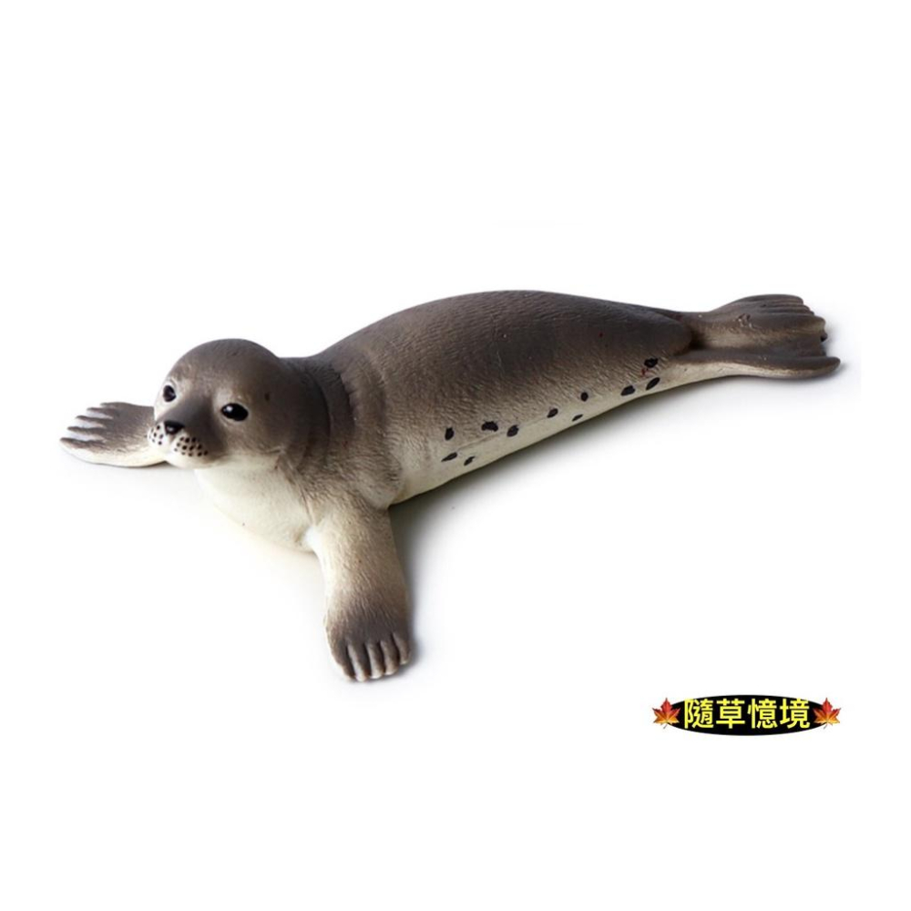 （高品質畫工）仿真 海豹 海底生物 海洋動物 早教 認知 動物模型 野生動物 兒童玩具 益智 公仔 SPG-細節圖5
