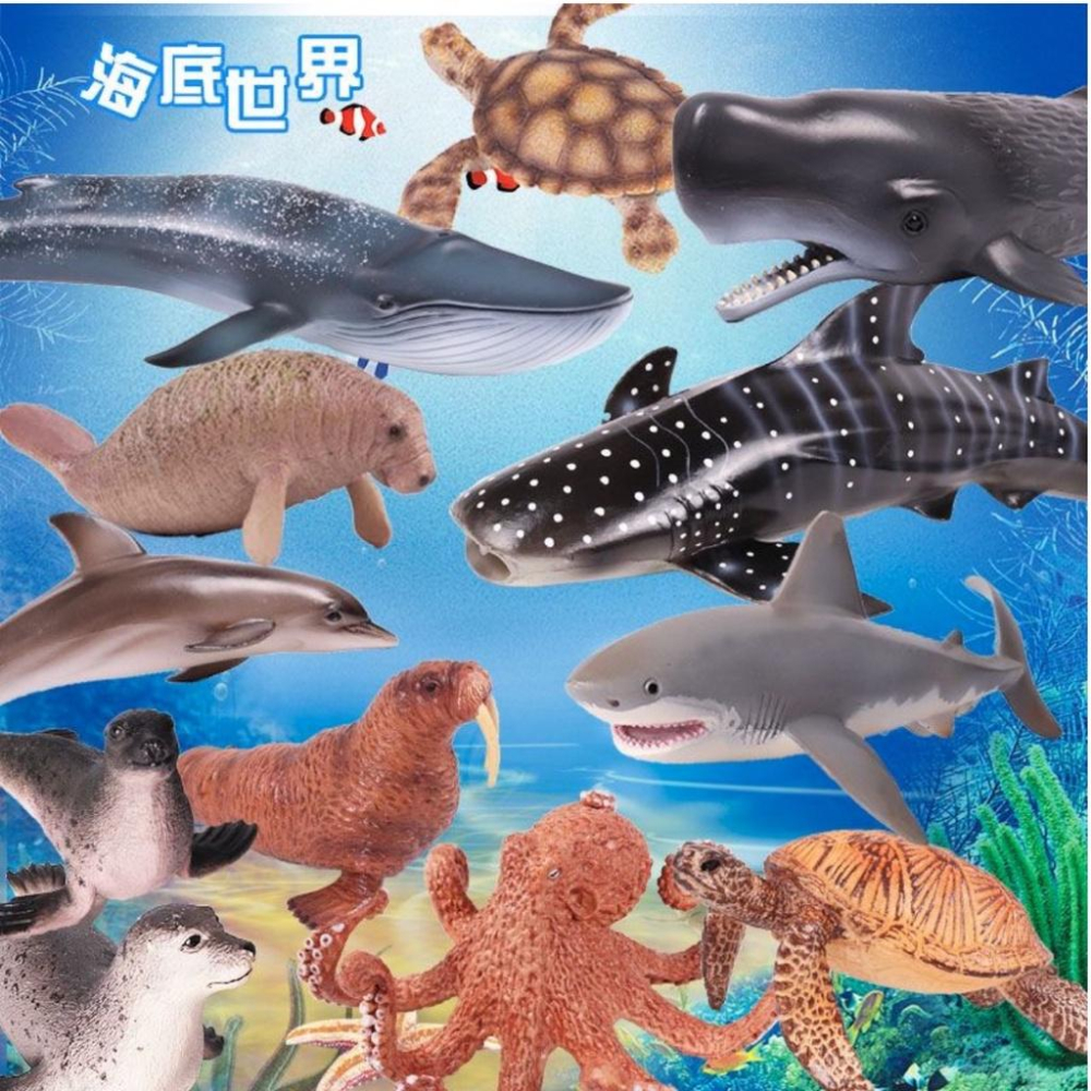 （高品質畫工）仿真 海豹 海底生物 海洋動物 早教 認知 動物模型 野生動物 兒童玩具 益智 公仔 SPG-細節圖7