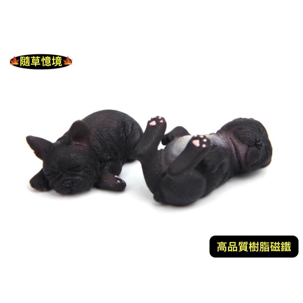 （6款高品質畫工磁鐵）實心 胖嘟嘟 法國 鬥牛犬 法鬥 狗狗 小狗 睡不醒系列  趴款 躺款 冰箱貼 磁力貼 磁鐵 公仔-細節圖6