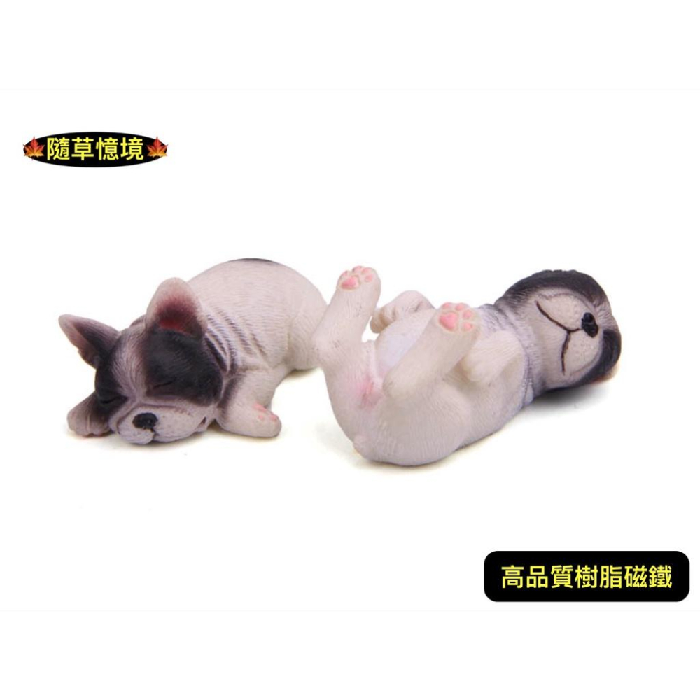 （6款高品質畫工磁鐵）實心 胖嘟嘟 法國 鬥牛犬 法鬥 狗狗 小狗 睡不醒系列  趴款 躺款 冰箱貼 磁力貼 磁鐵 公仔-細節圖7
