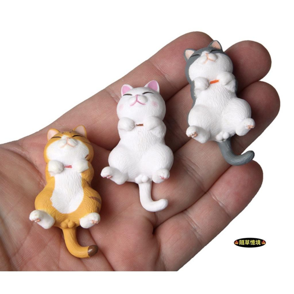 （3款）圓滾滾 躺姿 憨實 貓咪 虎貓 花貓 虎斑貓 白貓 波斯貓 肥貓 貓 微景觀 園藝 造景 公仔-細節圖2