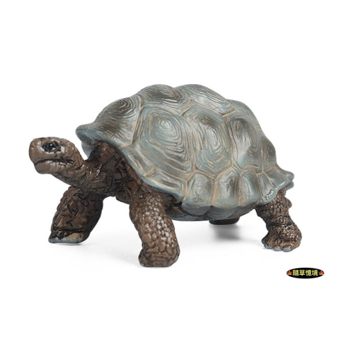 （高品質畫工）烏龜 陸龜 海底生物 海龜 龜 兩棲動物 仿真 動物模型 野生動物 兒童玩具 益智 SPG