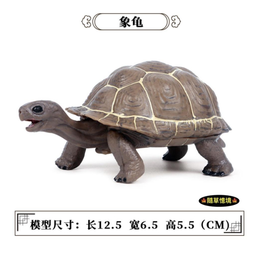 （12cm高品質畫工）仿真 象龜 烏龜 陸龜 龜 海底生物 動物模型 野生動物 兒童玩具 益智 公仔 SPG