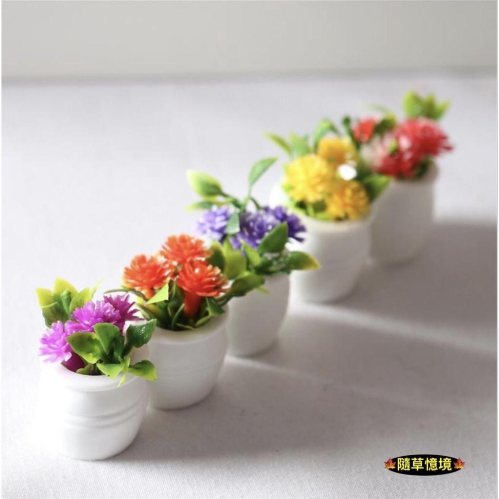（5款）迷你仿真 彩色 碎花 鮮花 花盆 植物 盆栽  BJD 袖珍 娃娃屋 食玩 微縮場景 微景觀 模型-細節圖2