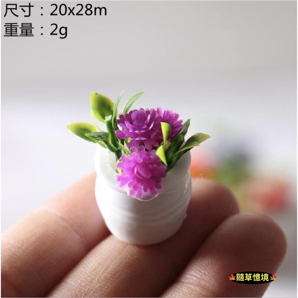 （5款）迷你仿真 彩色 碎花 鮮花 花盆 植物 盆栽  BJD 袖珍 娃娃屋 食玩 微縮場景 微景觀 模型-細節圖3