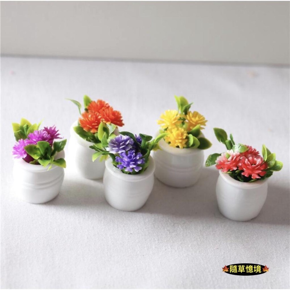 （5款）迷你仿真 彩色 碎花 鮮花 花盆 植物 盆栽  BJD 袖珍 娃娃屋 食玩 微縮場景 微景觀 模型-細節圖5