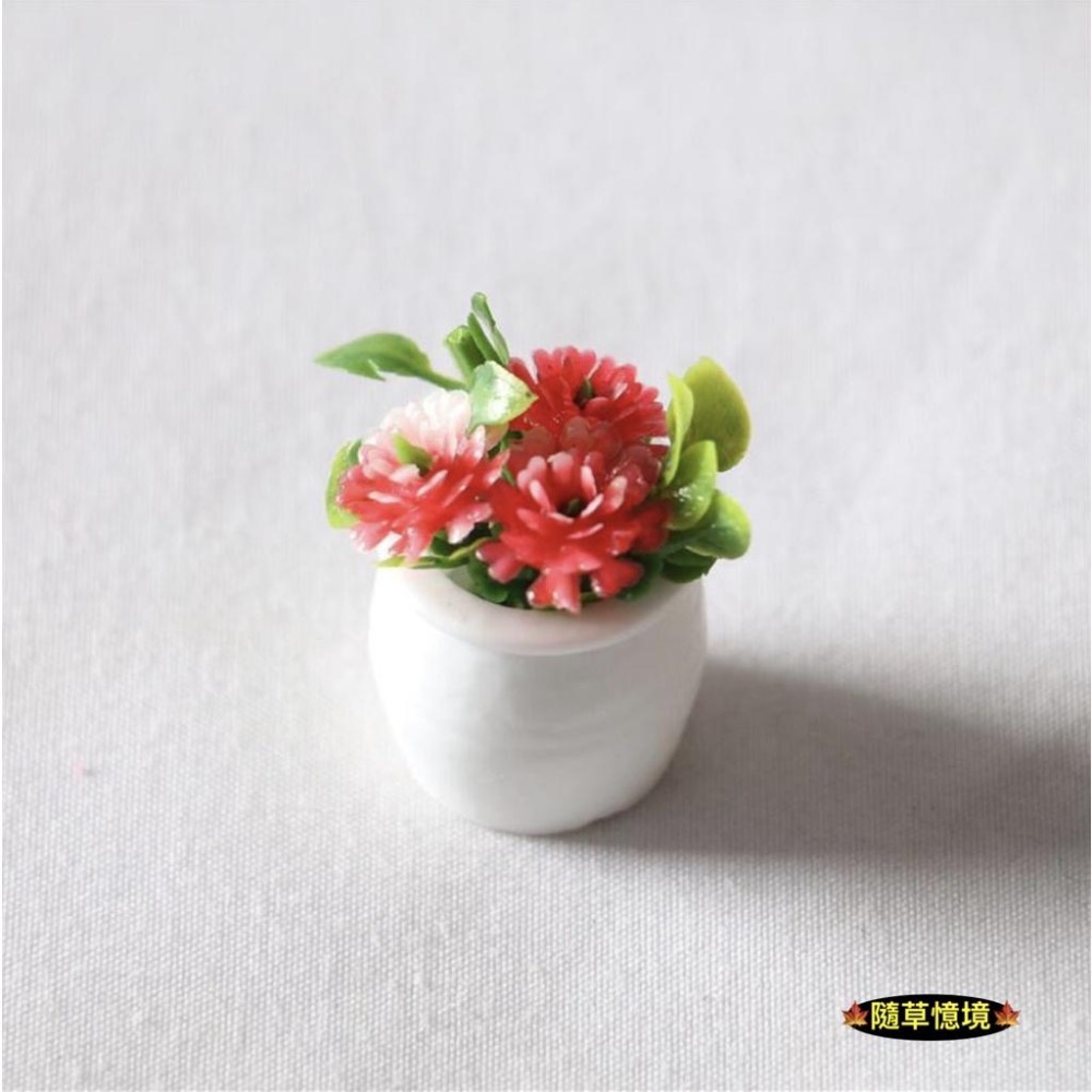 （5款）迷你仿真 彩色 碎花 鮮花 花盆 植物 盆栽  BJD 袖珍 娃娃屋 食玩 微縮場景 微景觀 模型-細節圖6