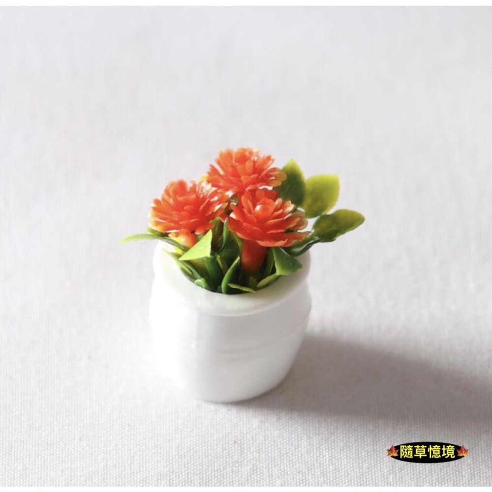 （5款）迷你仿真 彩色 碎花 鮮花 花盆 植物 盆栽  BJD 袖珍 娃娃屋 食玩 微縮場景 微景觀 模型-細節圖8