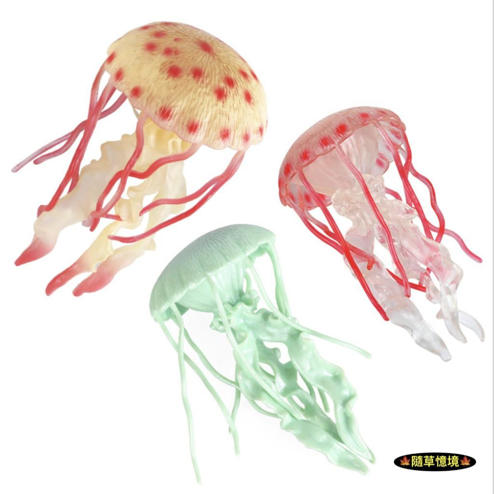 （高品質畫工）仿真 軟膠 水母 海蜇 海洋 動物模型 野生動物 兒童玩具 益智 公仔 SPG-細節圖2