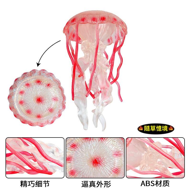 （高品質畫工）仿真 軟膠 水母 海蜇 海洋 動物模型 野生動物 兒童玩具 益智 公仔 SPG-細節圖3