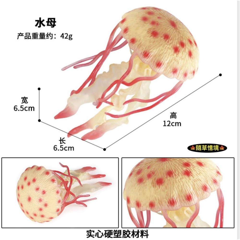 （高品質畫工）仿真 軟膠 水母 海蜇 海洋 動物模型 野生動物 兒童玩具 益智 公仔 SPG-細節圖4