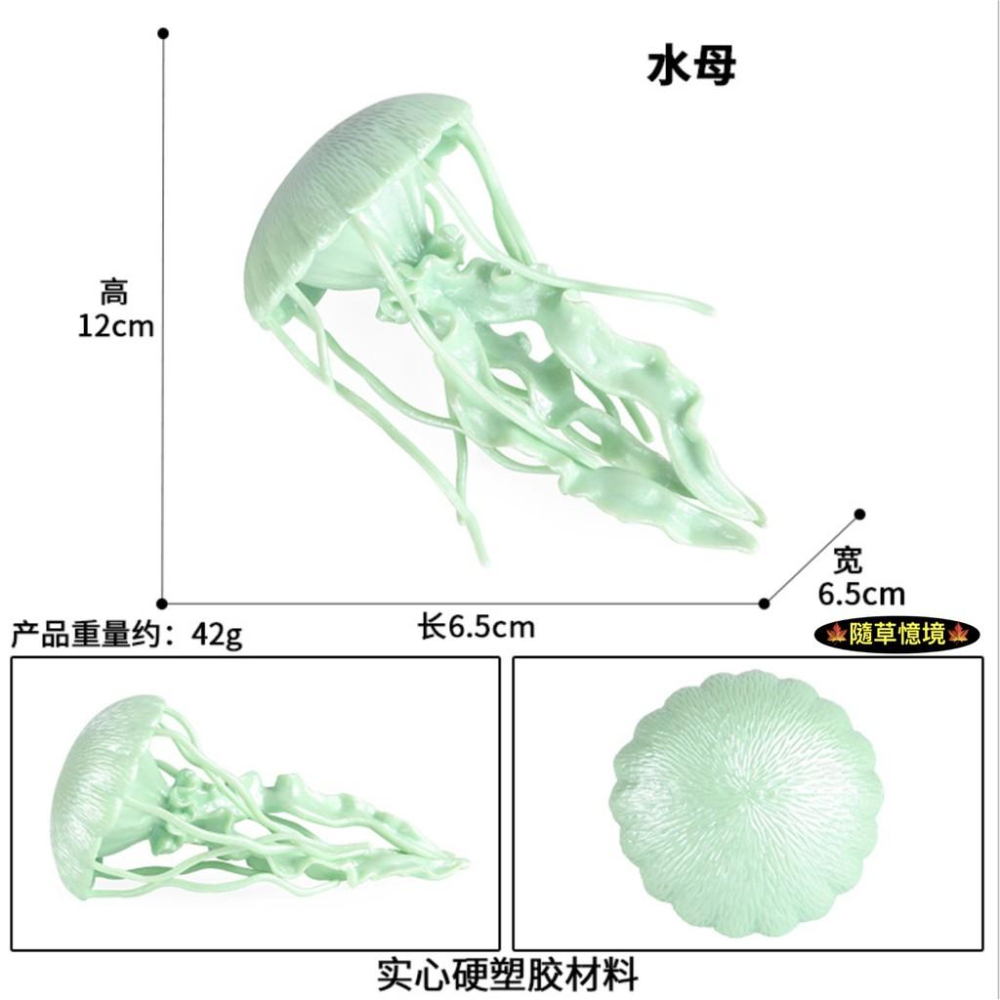（高品質畫工）仿真 軟膠 水母 海蜇 海洋 動物模型 野生動物 兒童玩具 益智 公仔 SPG-細節圖5