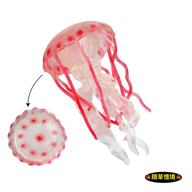 （高品質畫工）仿真 軟膠 水母 海蜇 海洋 動物模型 野生動物 兒童玩具 益智 公仔 SPG-細節圖6