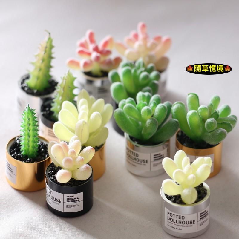 （多款高品質）迷你仿真 金屬盆 仙人掌 多肉 盆栽 花盆 小多肉 ob11 植物 袖珍 食玩 微縮場景 微景觀 模型-細節圖2
