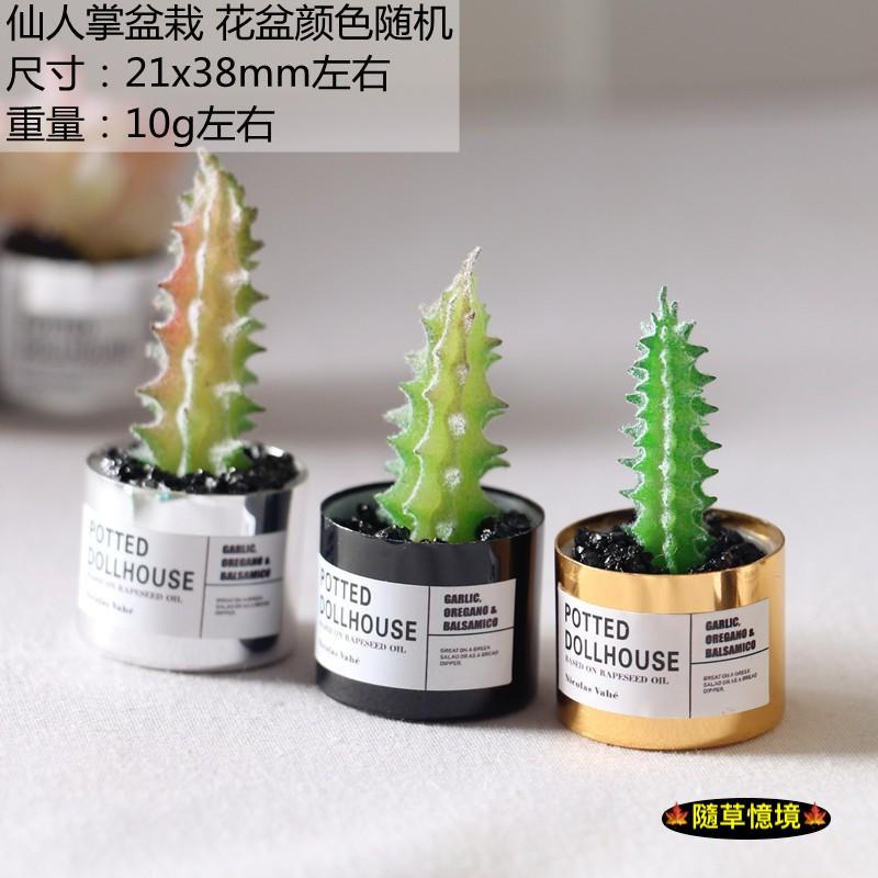 （多款高品質）迷你仿真 金屬盆 仙人掌 多肉 盆栽 花盆 小多肉 ob11 植物 袖珍 食玩 微縮場景 微景觀 模型-細節圖3