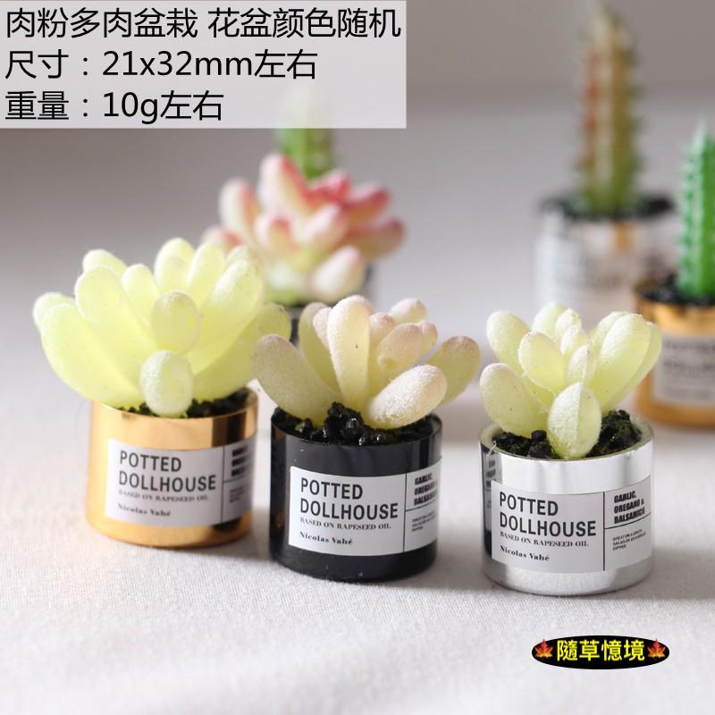 （多款高品質）迷你仿真 金屬盆 仙人掌 多肉 盆栽 花盆 小多肉 ob11 植物 袖珍 食玩 微縮場景 微景觀 模型-細節圖4