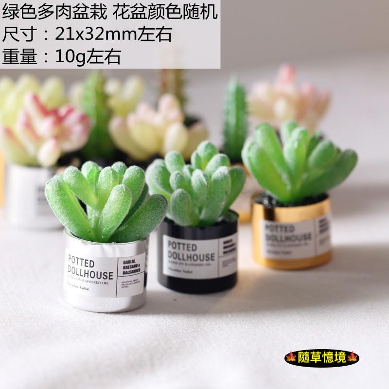 （多款高品質）迷你仿真 金屬盆 仙人掌 多肉 盆栽 花盆 小多肉 ob11 植物 袖珍 食玩 微縮場景 微景觀 模型-細節圖5