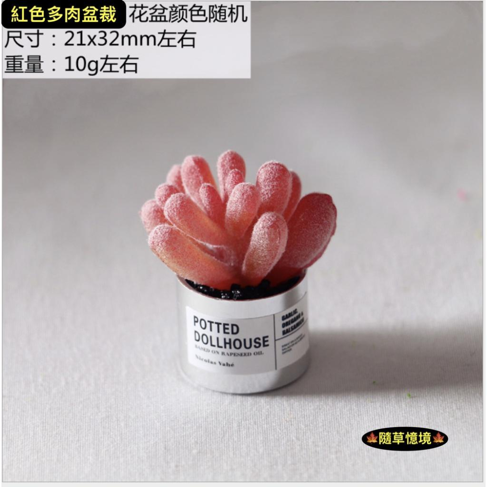 （多款高品質）迷你仿真 金屬盆 仙人掌 多肉 盆栽 花盆 小多肉 ob11 植物 袖珍 食玩 微縮場景 微景觀 模型-細節圖6