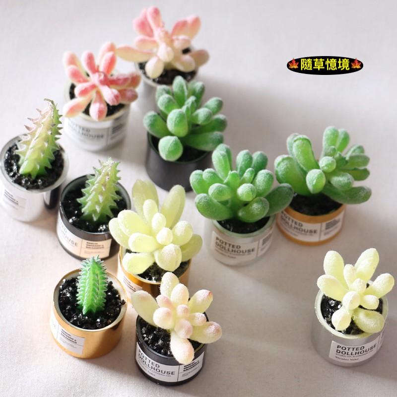 （多款高品質）迷你仿真 金屬盆 仙人掌 多肉 盆栽 花盆 小多肉 ob11 植物 袖珍 食玩 微縮場景 微景觀 模型-細節圖8