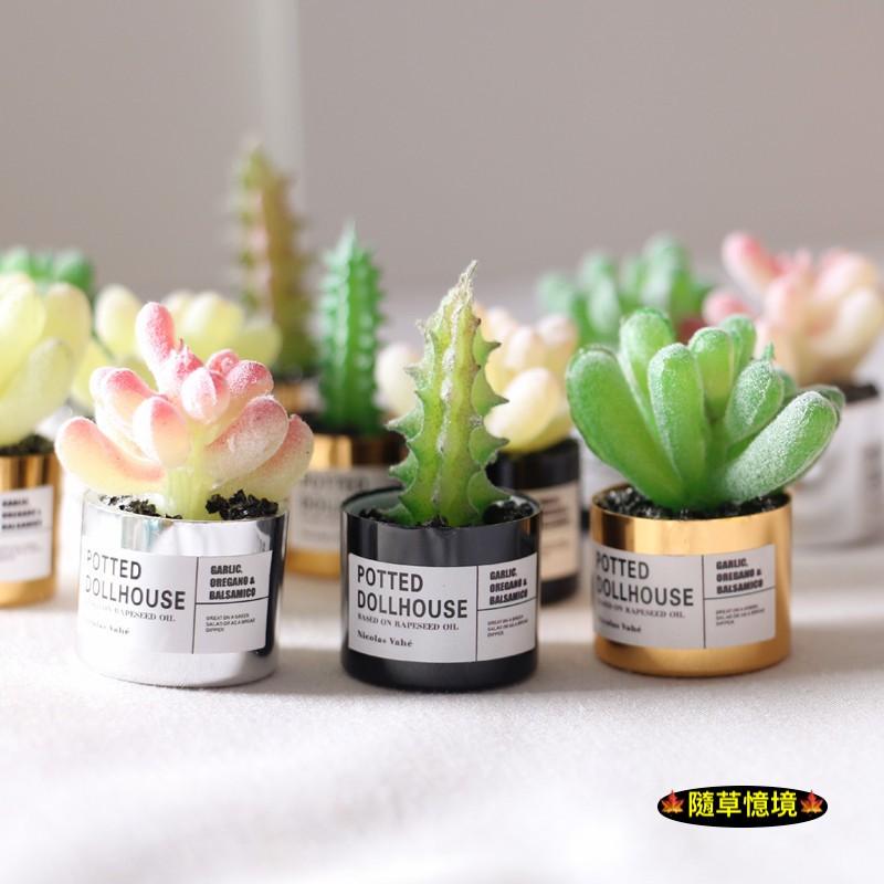 （多款高品質）迷你仿真 金屬盆 仙人掌 多肉 盆栽 花盆 小多肉 ob11 植物 袖珍 食玩 微縮場景 微景觀 模型-細節圖9