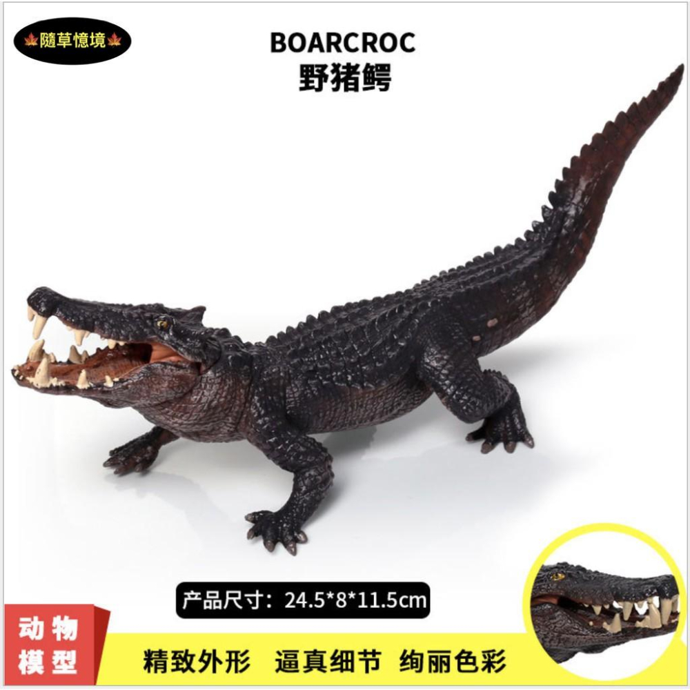 （大號可開嘴）極度仿真 野豬鰐 實心 鰐魚 鱷魚 巨鰐 猛獸 兩棲 動物模型 野生動物 兒童玩具 益智 公仔 SPG-細節圖2