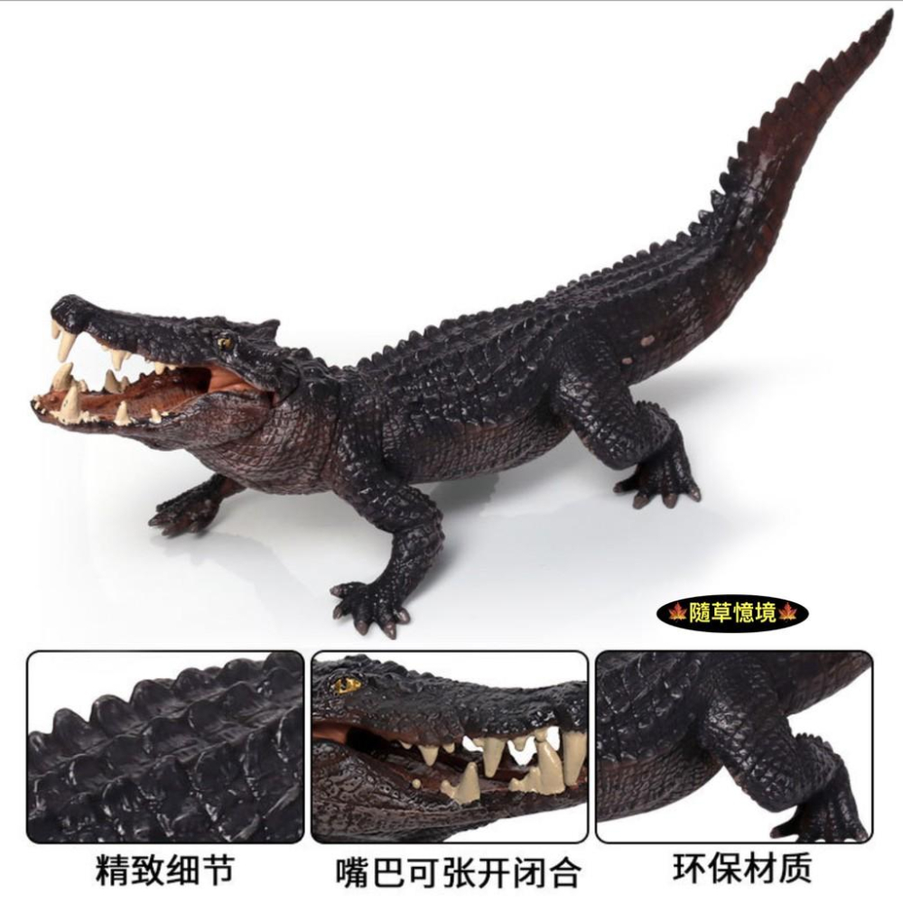 （大號可開嘴）極度仿真 野豬鰐 實心 鰐魚 鱷魚 巨鰐 猛獸 兩棲 動物模型 野生動物 兒童玩具 益智 公仔 SPG-細節圖3