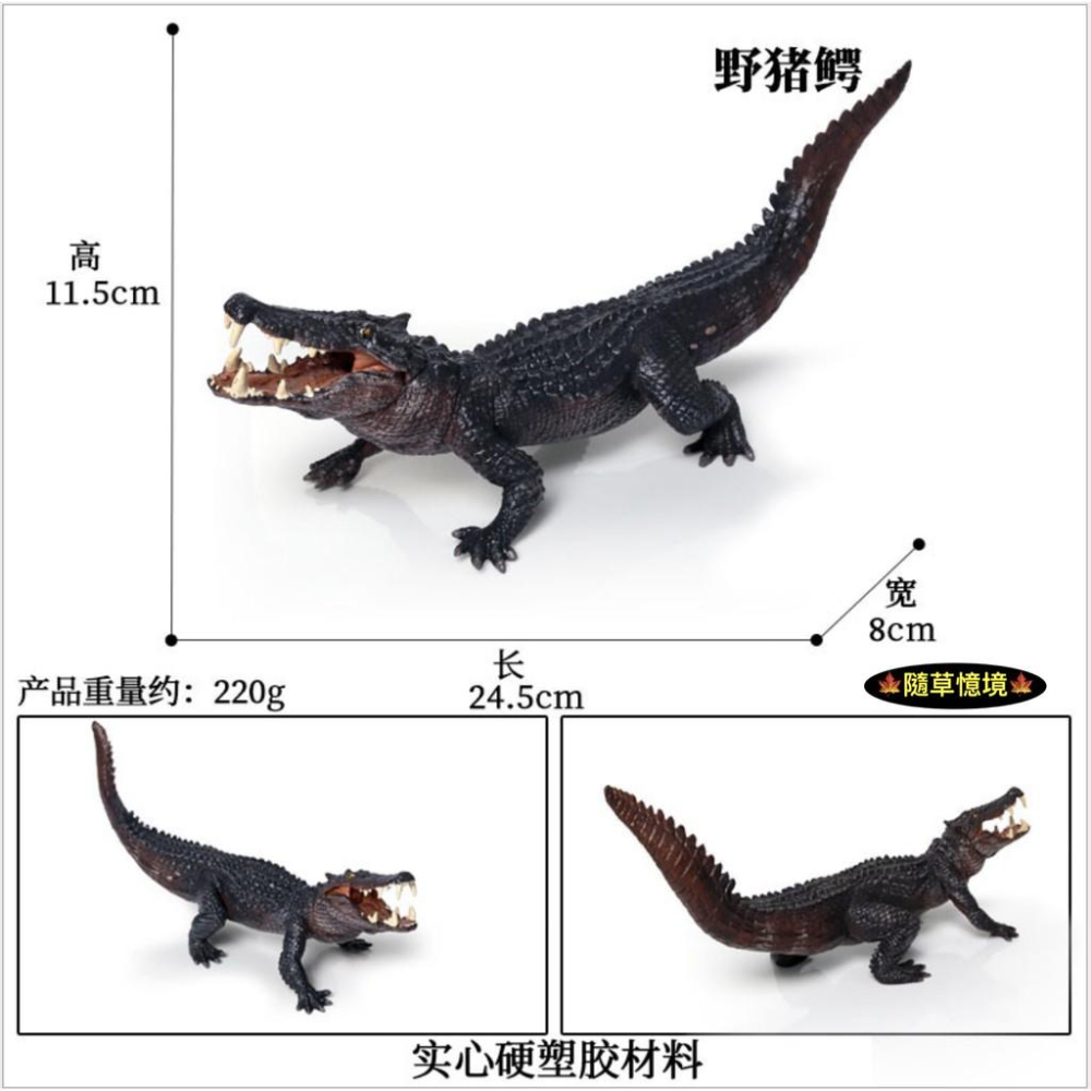 （大號可開嘴）極度仿真 野豬鰐 實心 鰐魚 鱷魚 巨鰐 猛獸 兩棲 動物模型 野生動物 兒童玩具 益智 公仔 SPG-細節圖4