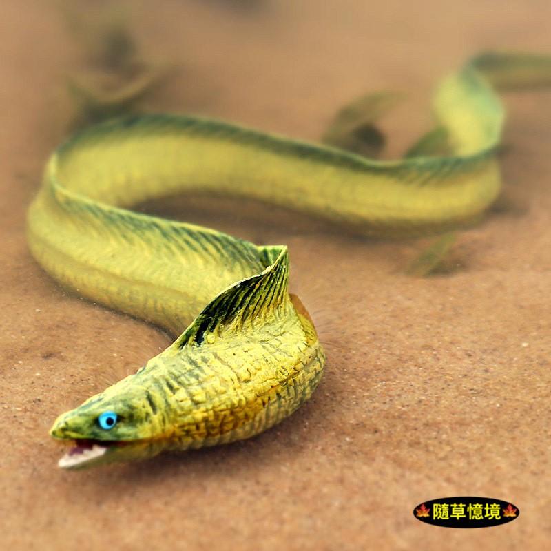 （大號可沉水高品質畫工）鰻魚 電鰻 海鰻 鰻 仿真 動物模型 野生動物 海底動物 兒童玩具 益智 公仔 SPG-細節圖2