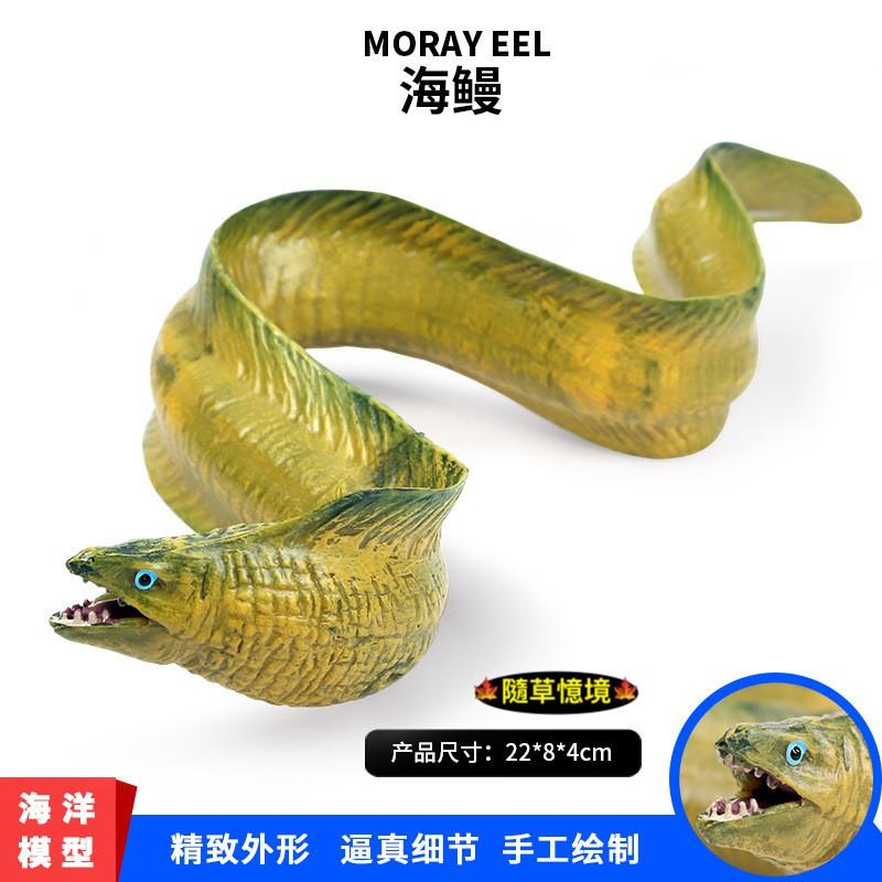 （大號可沉水高品質畫工）鰻魚 電鰻 海鰻 鰻 仿真 動物模型 野生動物 海底動物 兒童玩具 益智 公仔 SPG-細節圖3