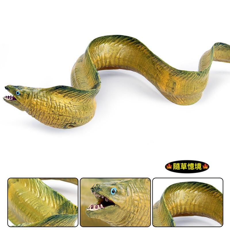 （大號可沉水高品質畫工）鰻魚 電鰻 海鰻 鰻 仿真 動物模型 野生動物 海底動物 兒童玩具 益智 公仔 SPG-細節圖4