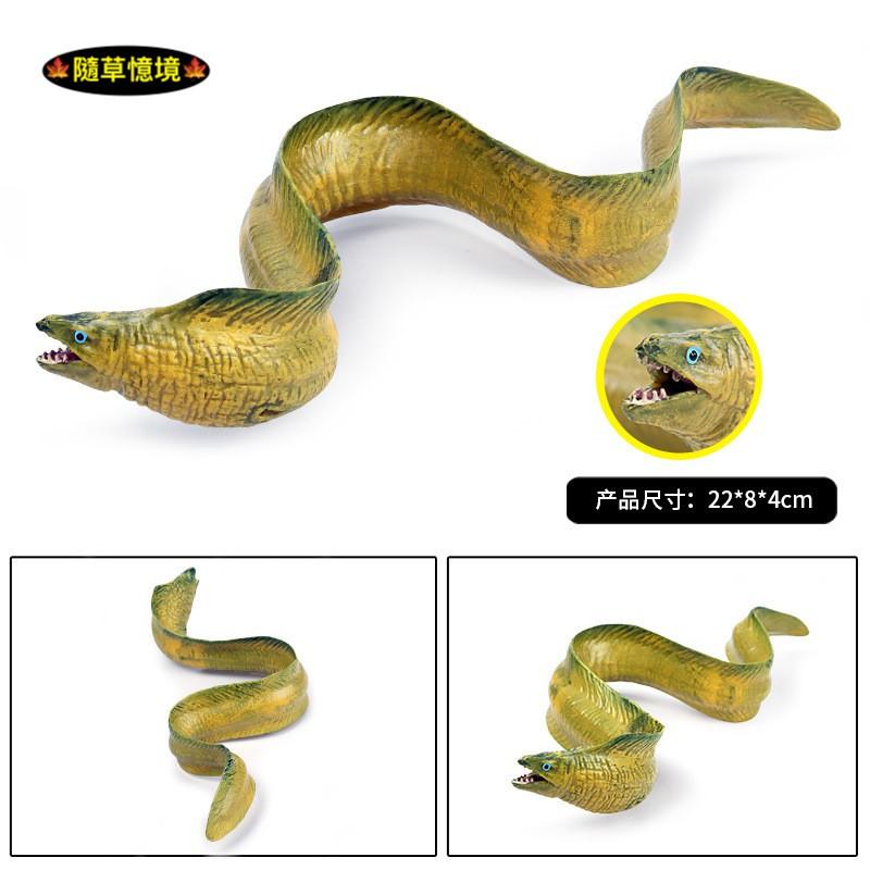 （大號可沉水高品質畫工）鰻魚 電鰻 海鰻 鰻 仿真 動物模型 野生動物 海底動物 兒童玩具 益智 公仔 SPG-細節圖5