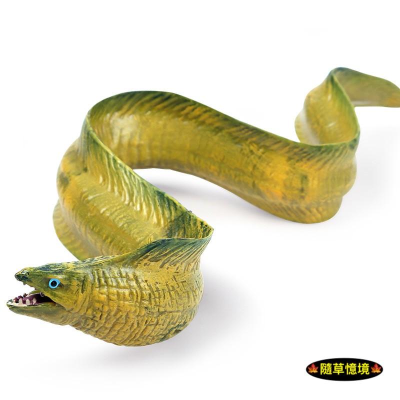（大號可沉水高品質畫工）鰻魚 電鰻 海鰻 鰻 仿真 動物模型 野生動物 海底動物 兒童玩具 益智 公仔 SPG-細節圖6