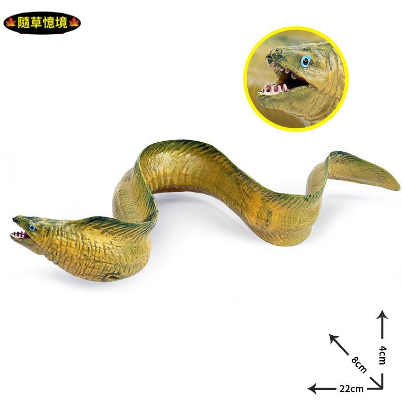 （大號可沉水高品質畫工）鰻魚 電鰻 海鰻 鰻 仿真 動物模型 野生動物 海底動物 兒童玩具 益智 公仔 SPG-細節圖7