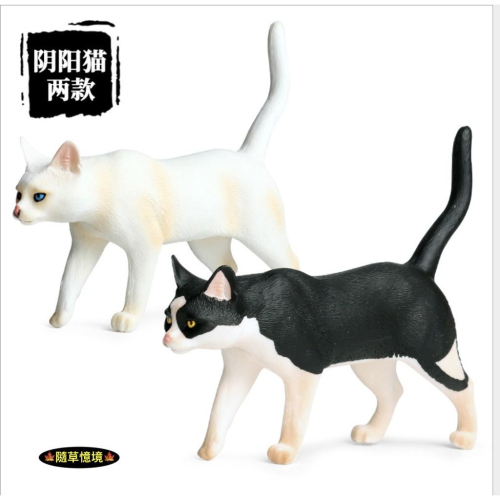 （稀有2款陰陽眼）仿真 陰陽貓 家貓 寵物貓 貓咪 白貓 黑貓 動物模型 野生動物 兒童玩具 益智 公仔 SPG
