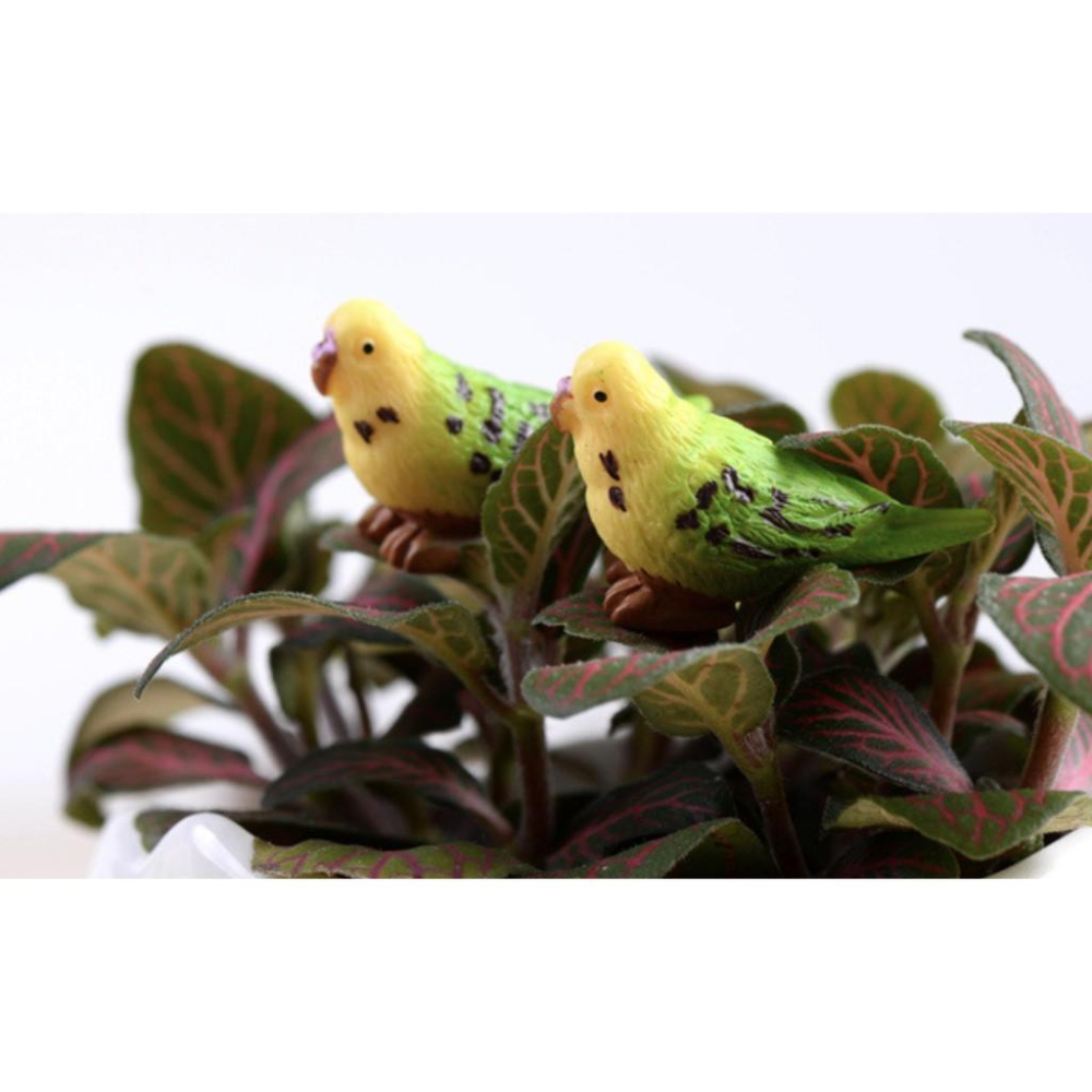 （1入/3入/5入）豔麗鸚鵡 鸚鵡 苔蘚微景觀 多肉植物擺件 盆栽造景裝飾 DIY材料-細節圖3