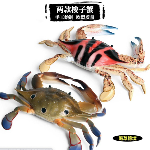 （大號）節肢動物 三點蟹 梭子蟹 海螃蟹 螃蟹 仿真 海洋動物 模型 野生動物 模型益智 SPG