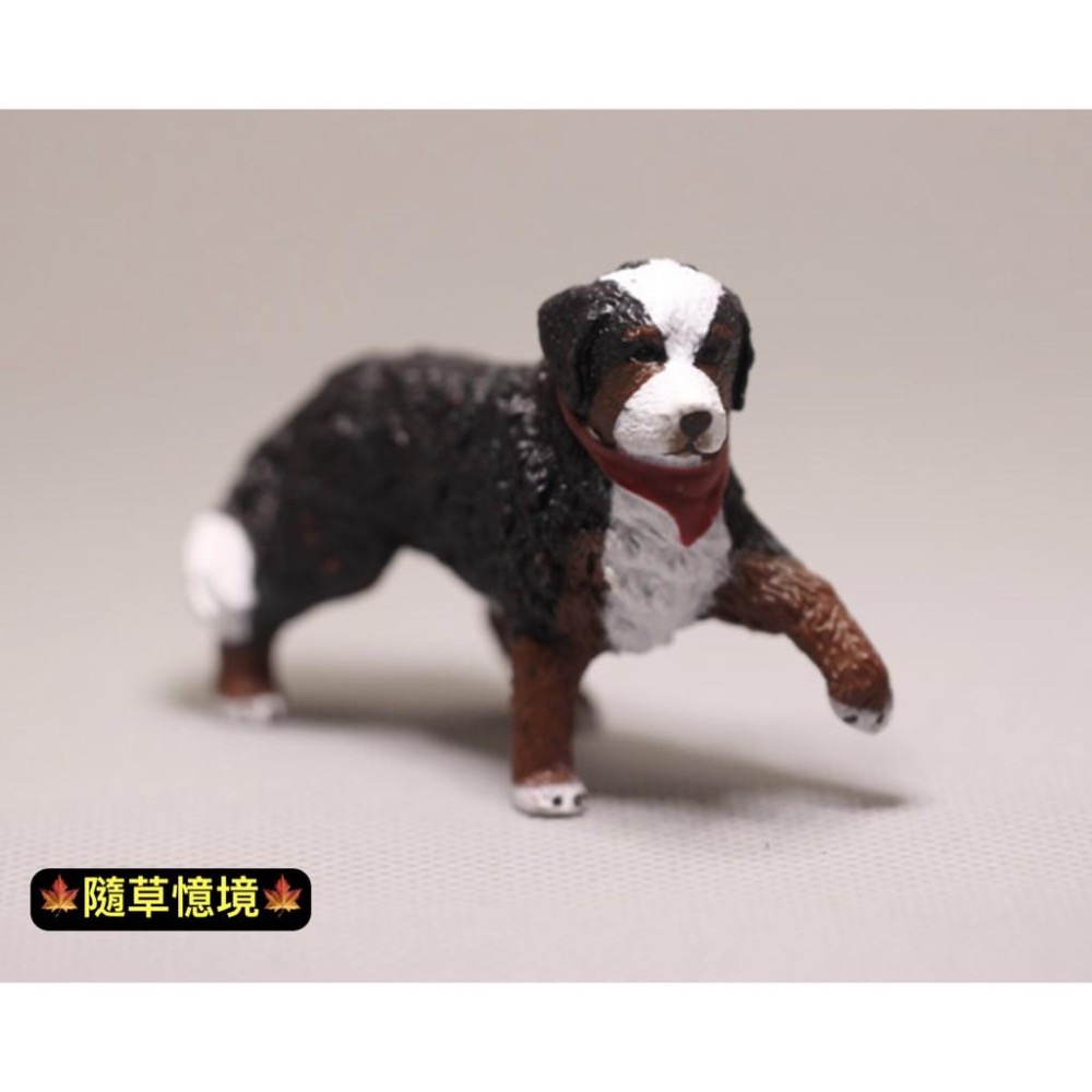 仿真動物 黃金獵犬 博納山地犬 金毛犬 小狗 小黃狗 大狗 名犬 動物模型 益智 玩具-細節圖6