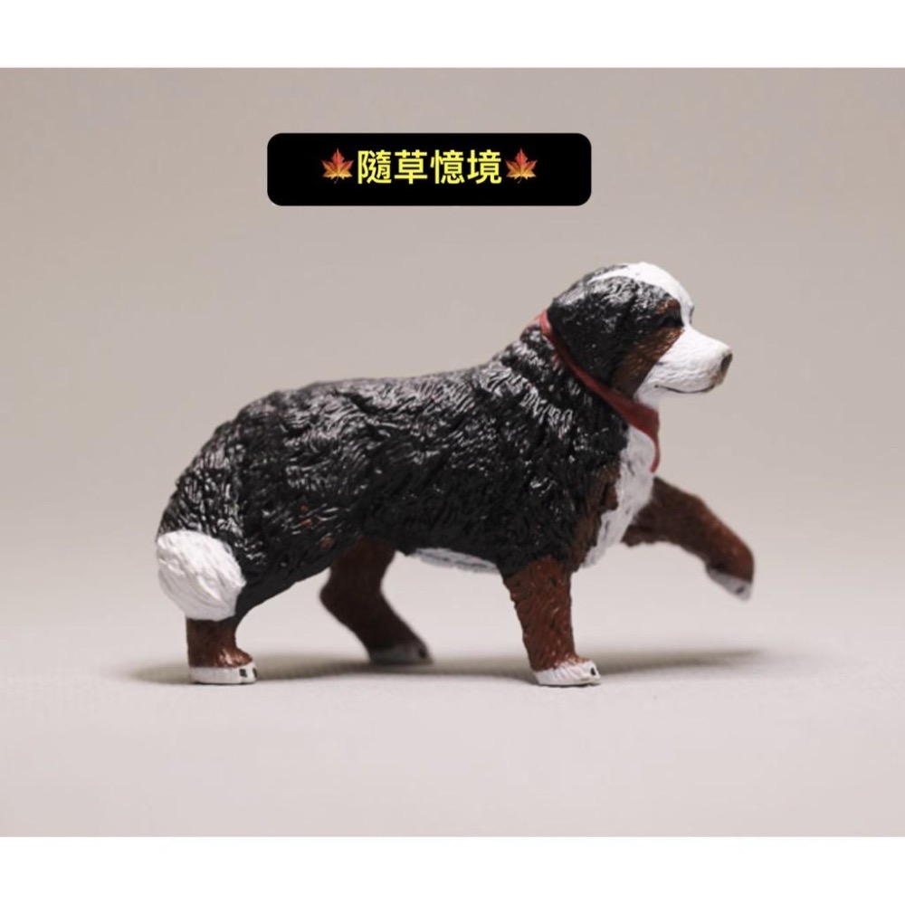 仿真動物 黃金獵犬 博納山地犬 金毛犬 小狗 小黃狗 大狗 名犬 動物模型 益智 玩具-細節圖7